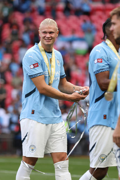 稳步融入球 稳步融入球